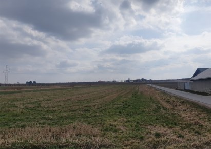 działka na sprzedaż - Opole Lubelskie
