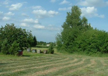 działka na sprzedaż - Konopnica, Motycz