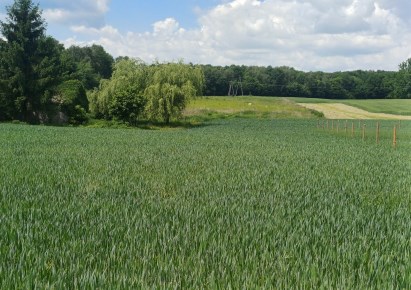 działka na sprzedaż - Konopnica, Motycz